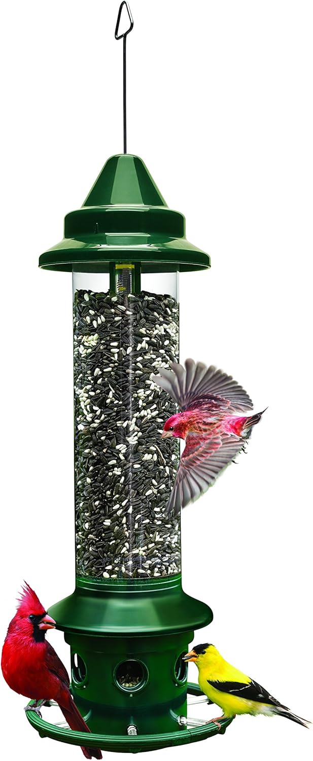 Squirrel Buster Plus Squirrel-proof Bird Feeder w/Cardinal Ring and 6 Feeding Ports, 5.1-pound Seed Capacity, Adjustable, Pole-mountable (POLE ADAPTOR SOLD SEPARATELY), Green