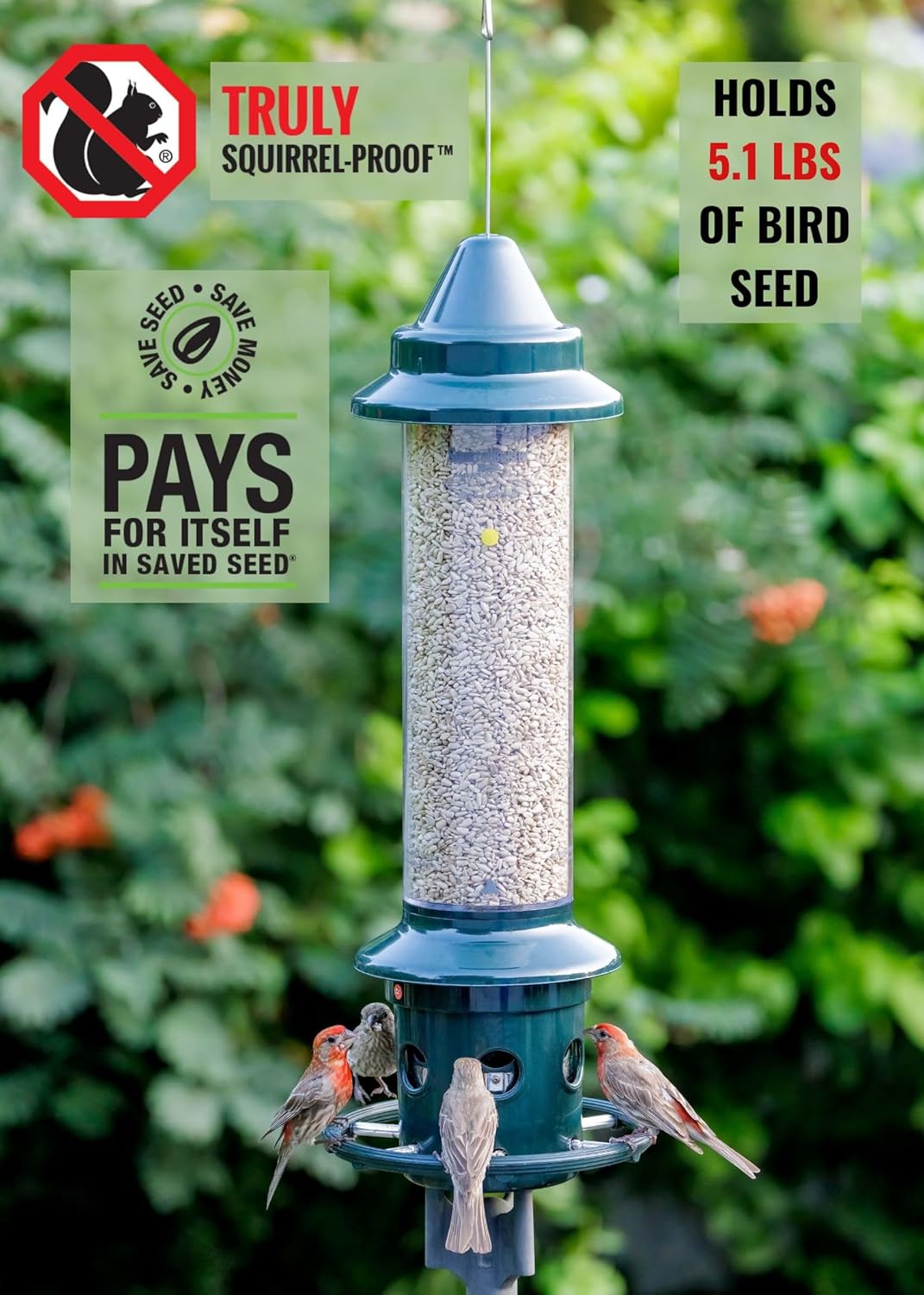 Squirrel Buster Plus Squirrel-proof Bird Feeder w/Cardinal Ring and 6 Feeding Ports, 5.1-pound Seed Capacity, Adjustable, Pole-mountable (POLE ADAPTOR SOLD SEPARATELY), Green