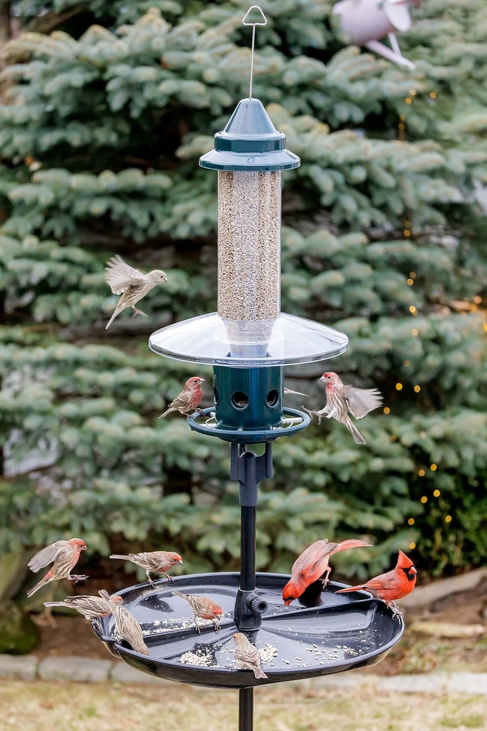 Squirrel Buster Plus Squirrel-proof Bird Feeder w/Cardinal Ring and 6 Feeding Ports, 5.1-pound Seed Capacity, Adjustable, Pole-mountable (POLE ADAPTOR SOLD SEPARATELY), Green