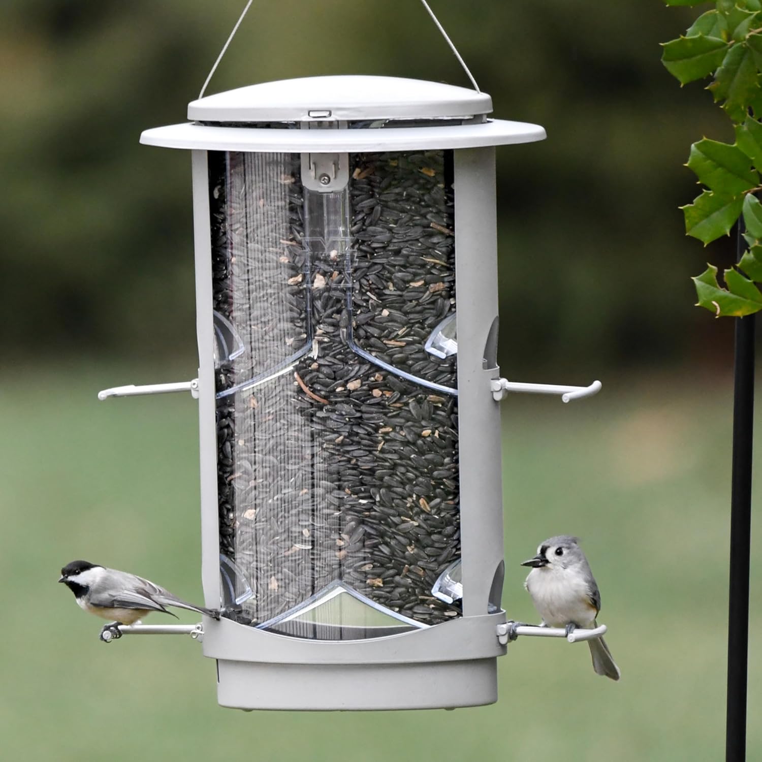 More Birds X-1 Squirrel-Proof Bird Feeder with 4.2-Pound Bird Seed Capacity and Four Feeding Ports